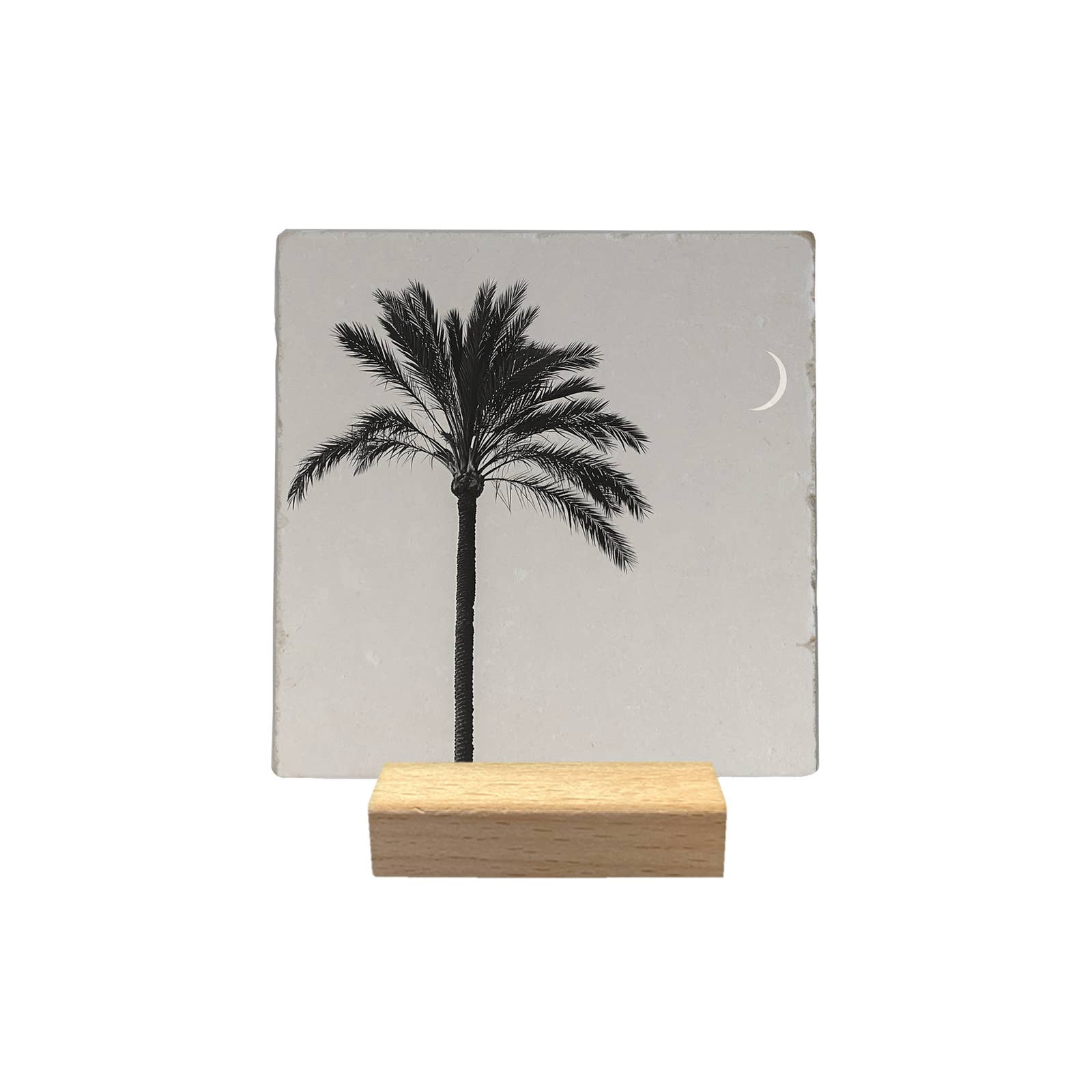 Palmier — carreau décoratif à accrocher, sélection MyTomette