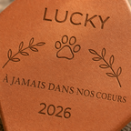 Souvenir chien décédé, tomette hexagonale personnalisée en terre cuite de Salernes gravée au laser.
