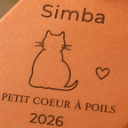 Cadeau adoption chat : tomette hexagonale personnalisée en terre cuite de Salernes gravée au laser.