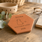 Cadeau adoption chat : tomette hexagonale personnalisée en terre cuite de Salernes gravée au laser.
