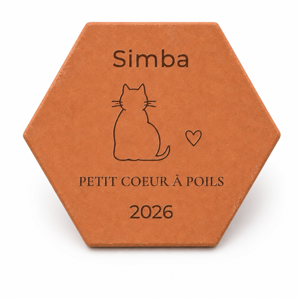 Cadeau adoption chat : tomette hexagonale personnalisée en terre cuite de Salernes gravée au laser.