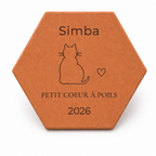 Cadeau adoption chat : tomette hexagonale personnalisée en terre cuite de Salernes gravée au laser.
