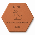 Cadeau maître de chien, tomette hexagonale personnalisée en terre cuite de Salernes gravée au laser.